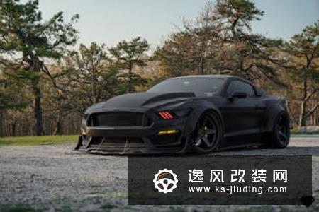 V8的魅力 福特野马GT 5.0L改装黑武士风格