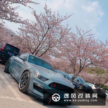 车友提福特Mustang三年 聊一聊用车改装历程