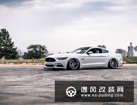 完整度极高的福特Mustang GT改装，定制内饰惊艳全场