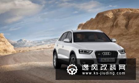 车友入手奥迪A4，爱上改装打造独一无二的绿色大嘴鲨