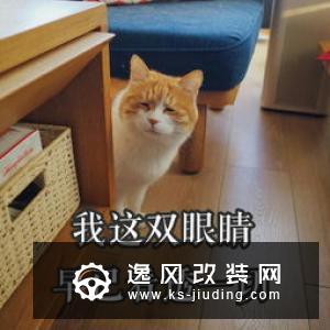 特斯拉提交纤维泡沫结构专利 让生产更高效