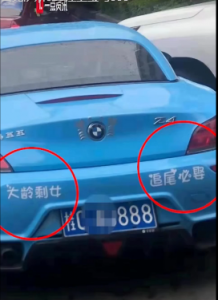 车事囧图：熊孩子出没！开车上高速狂奔250公里