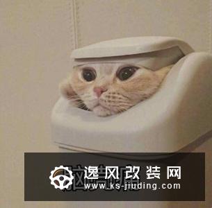 车事囧图：熊孩子出没！开车上高速狂奔250公里