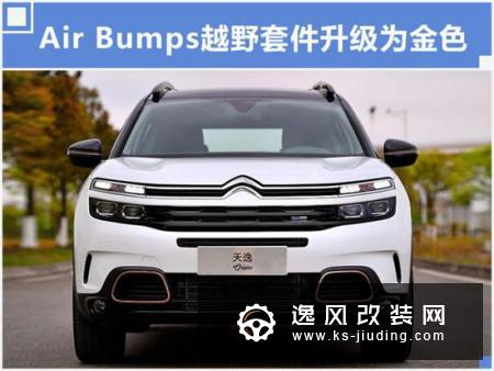 推荐360THP 百年臻享版 天逸最新购车手册