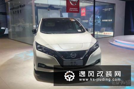 2019深港澳车展：日产聆风LEAF亮相