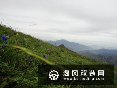 超夸张空气动力套件 曝日产GT-R爬山赛车